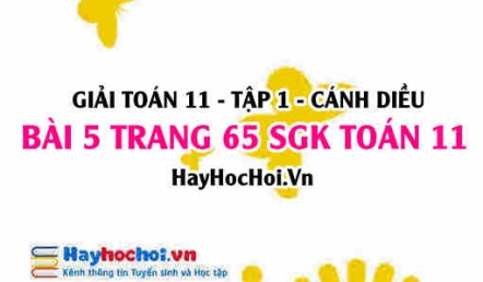 Giải bài 5 trang 65 Toán 11 tập 1 SGK Cánh Diều